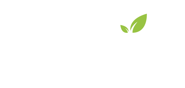 Café Palomino