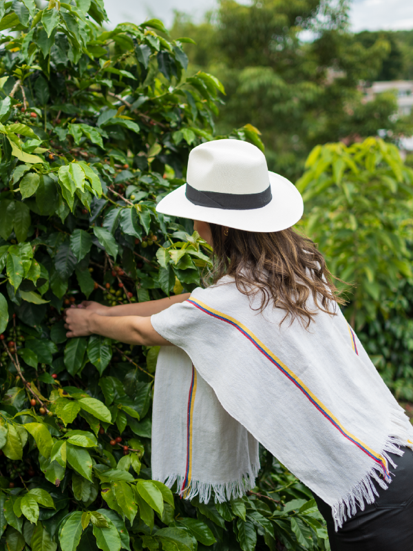 Aprende más sobre nuestra cultura